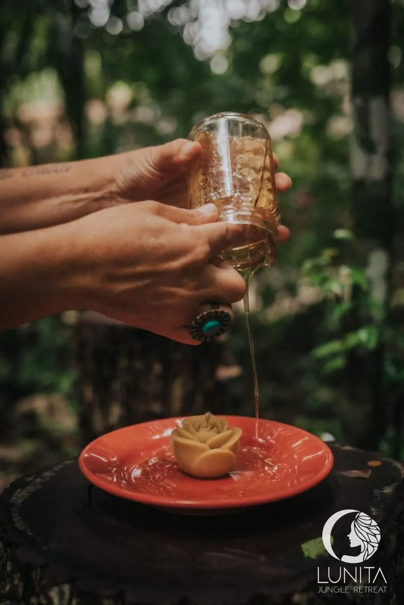 Honey Therapy Certification — Lunita Jungle Retreat, Riviera Maya, Mexico
