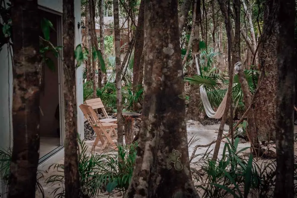 Mayan Jungle Magic — photo 4