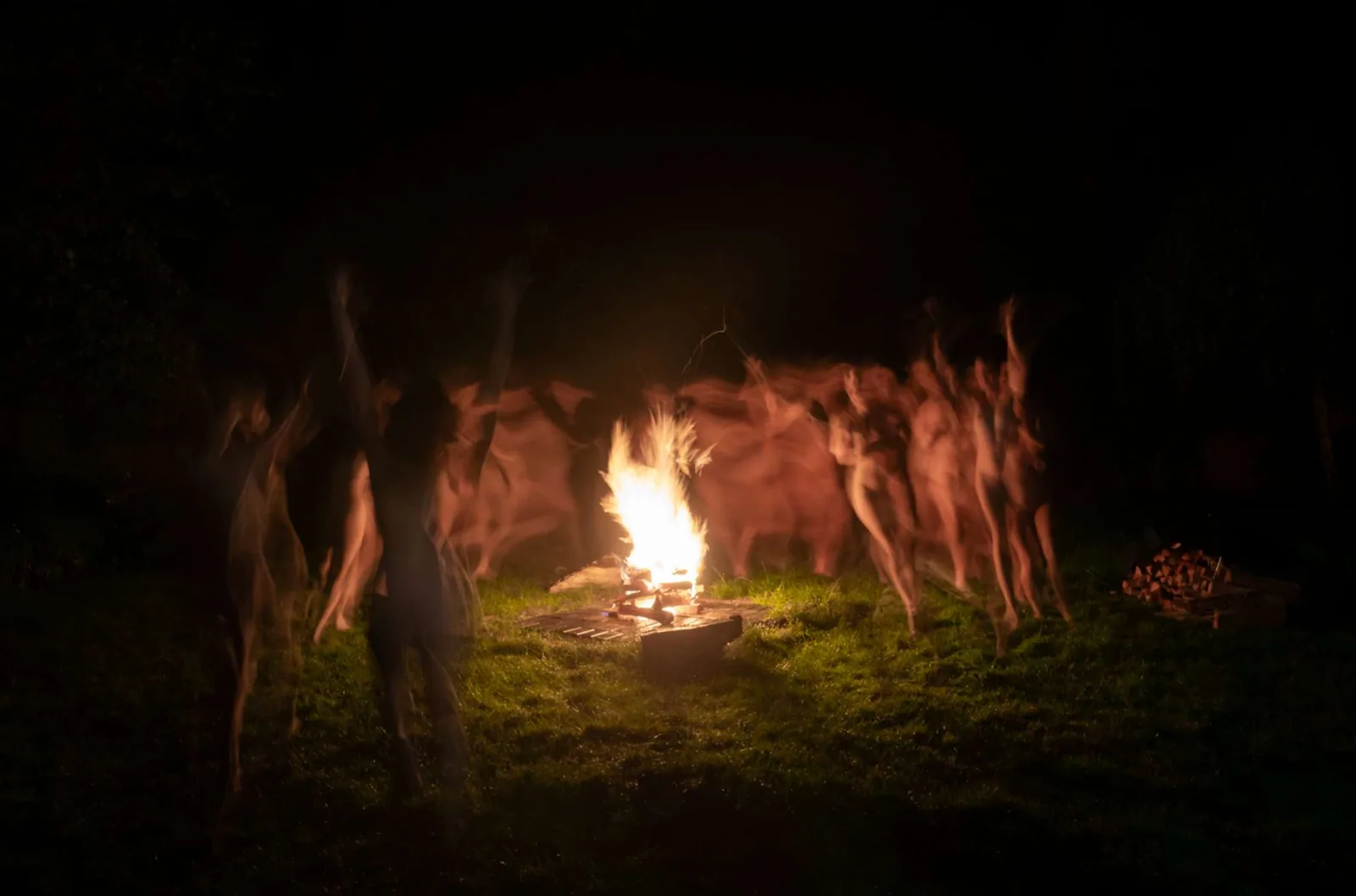 Wild Women Unleashed: Awaken Your Primal Pleasure — photo 7